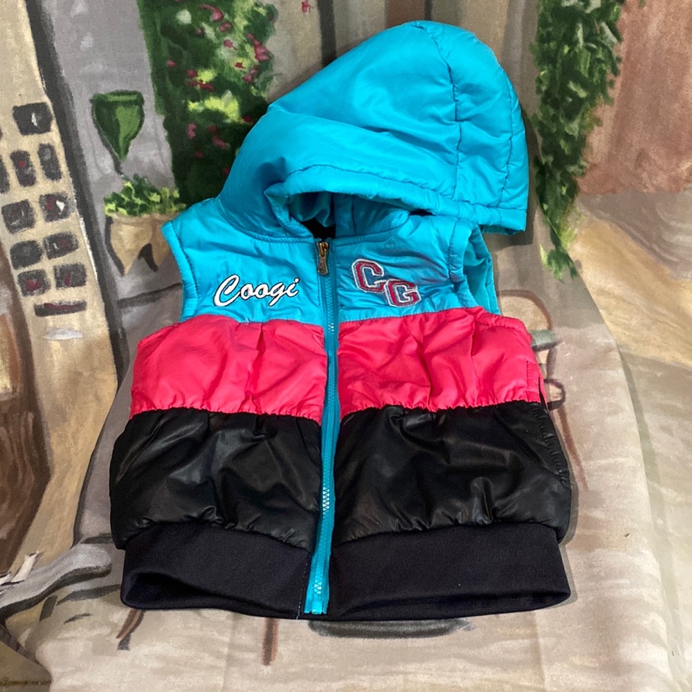 Coogi puffer vest with hood